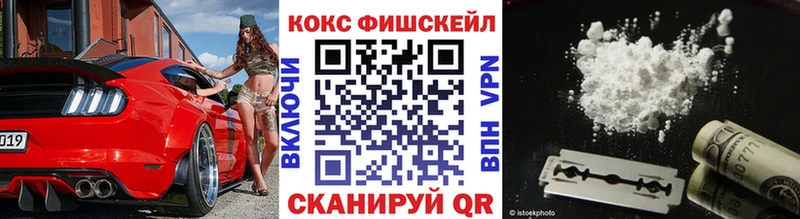 COCAIN Fish Scale  купить  сайты  Камышлов 