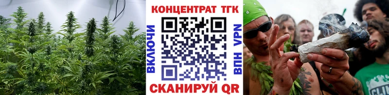 цены наркотик  KRAKEN как войти  Дистиллят ТГК гашишное масло  Камышлов 