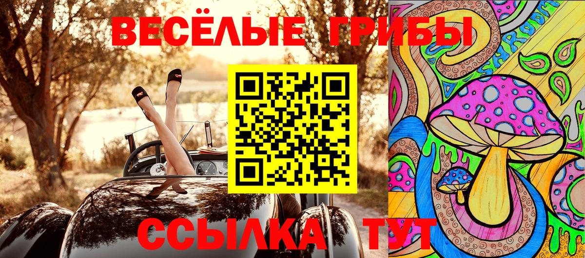 Псилоцибиновые грибы ЛСД  купить наркотик  Галлюциногенные грибы прущие грибы  Камышлов  Вход с VPN 